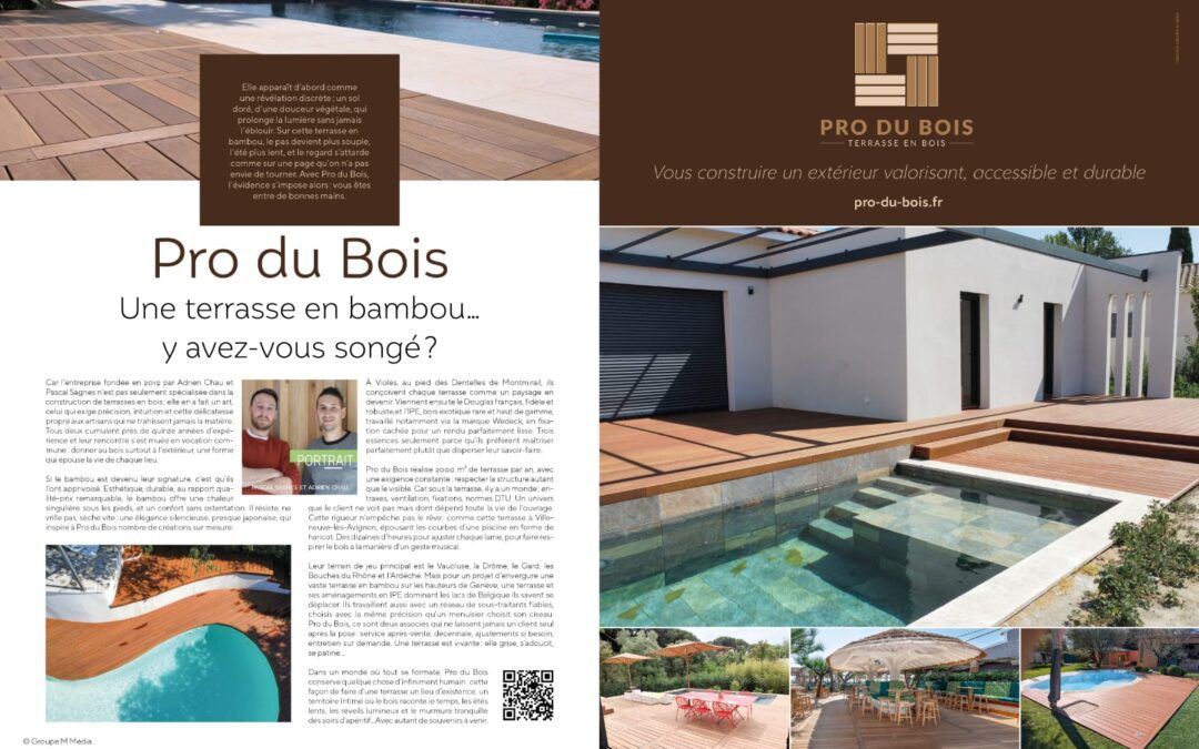 Comment Pro du Bois s’intègre dans vos projets multi‑corps de métiers pour une terrasse bois parfaitement coordonnée